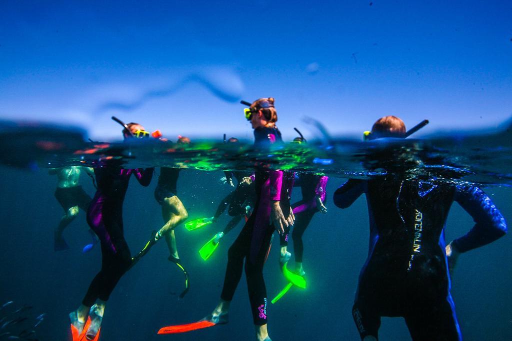 Sal Salis Ningaloo Reef Hotel Exmouth Luaran gambar